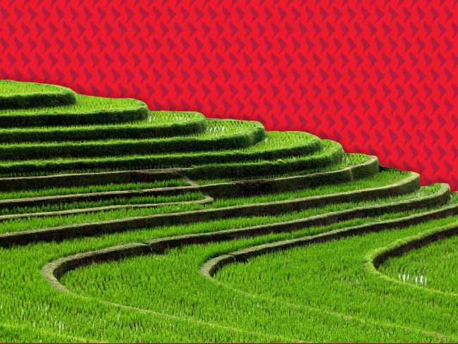 2024年第四季度市场前瞻: <br/>为即将到来的不确定性做好准备