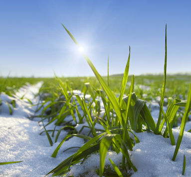 亚洲高收益：寒冬是否已经结束？