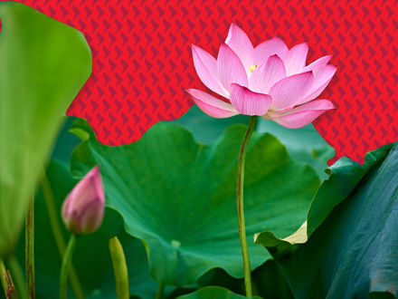 在美国市场独秀十年后，看好新兴市场的理由