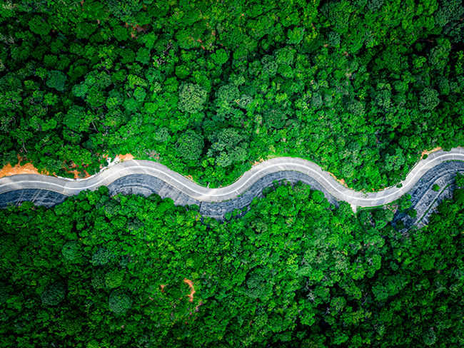 2021年全球资本市场年中展望：不均衡复苏态势下的应对之道