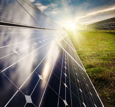 The rise of green bonds
