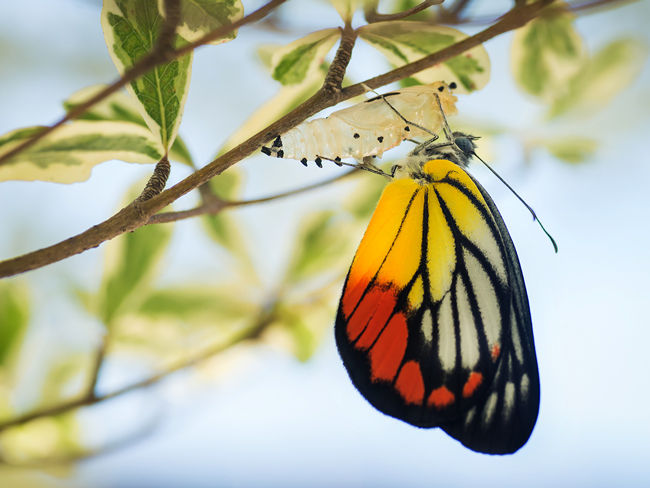 Undervalued real estate presents attractive opportunities