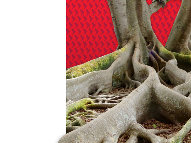 Asian banks and AT1s (available in English only)