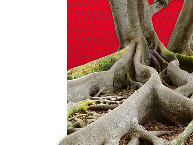 亞洲銀行及額外一級資本債券