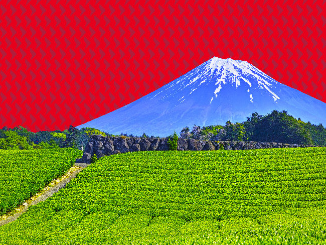 M Six questions on Japans ESG progress
