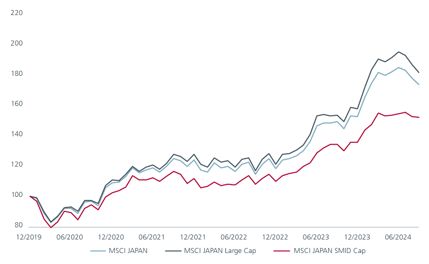 Fig 1: Japan’s small caps lag in returns