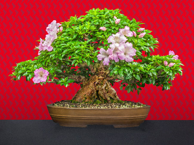 日本中小型股<br/> 被忽視的投資機會