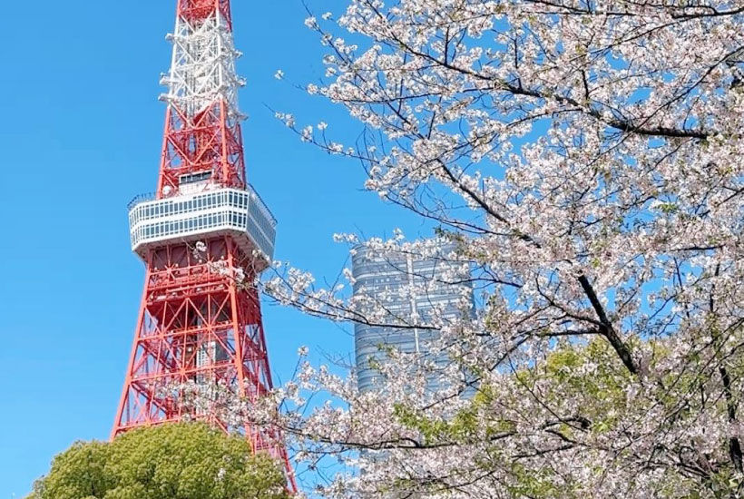 bonding-with-japan-carousel1