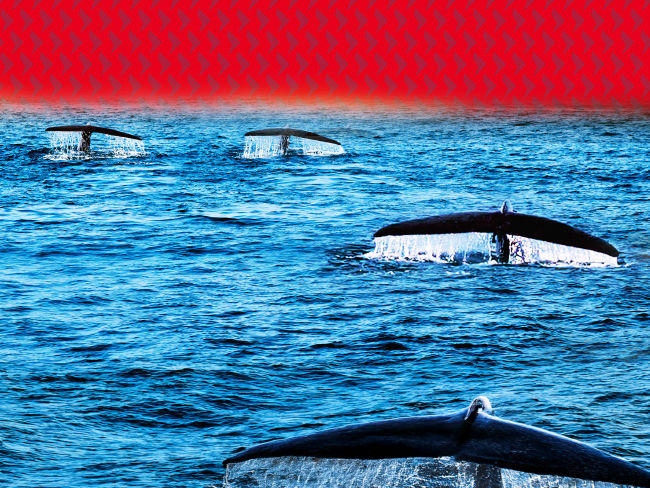 深入發掘亞洲人工智能革命的投資機會