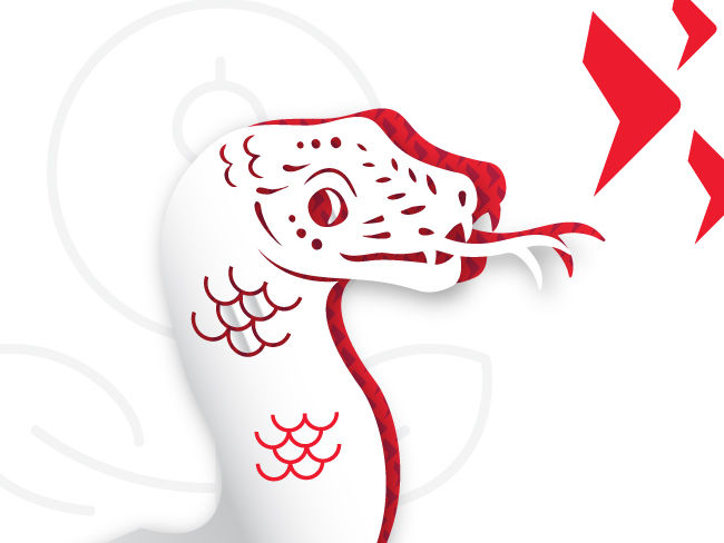 Investing tips for the year of the Snake