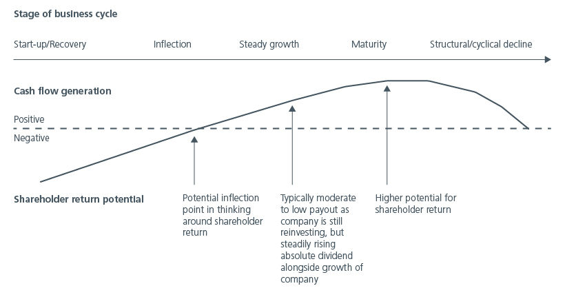 Fig. 4. Harvesting income through the dividend journey