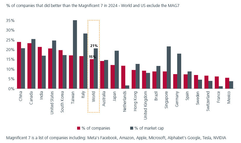 Fig 1: Only 15% of companies globally have outperformed the Mag 7 in 2024