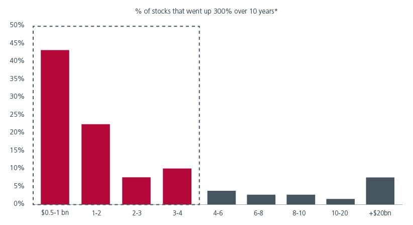 Fig 6: Higher percentage of mid and small cap stocks show significant gains