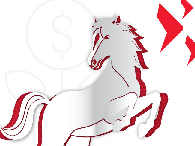 Investing tips for the Year of the Horse