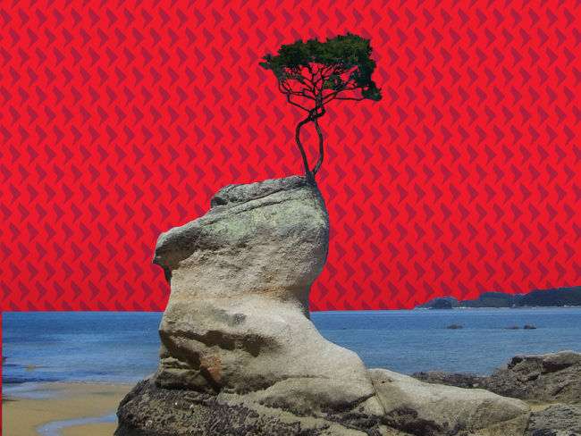 4Q23 Outlook: Resilient US growth drives short-term risk taking