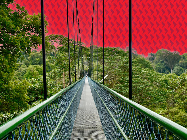 2Q24 Outlook: Balancing shorter-term rewards against longer-term risks