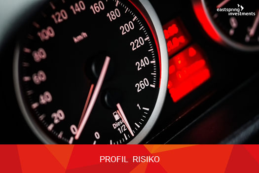 Profil Risiko