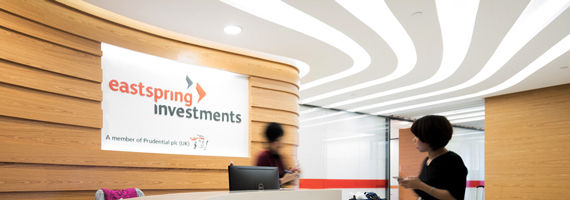 Company overview