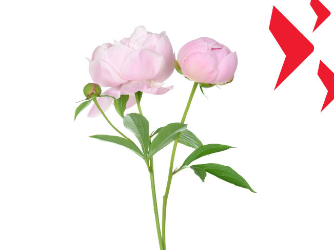 Kinh tế Trung quốc đã chạm dáy.