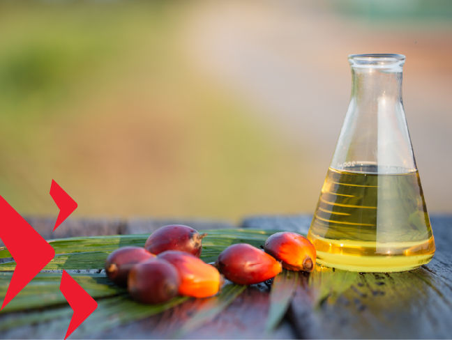 Sustainable palm oil