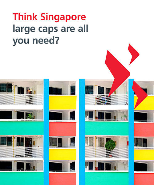Think Singapore large caps are all you need?