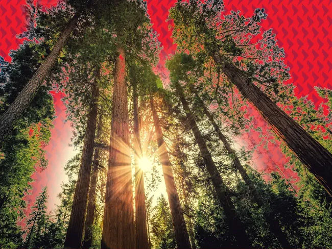 2025年第4四半期見通し:貿易戦争から利下げ・政策支援へ