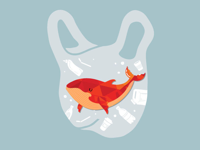 ของเล็กๆชิ้นนี้จะช่วยให้คุณลดการสร้างขยะให้ง่ายขึ้น !