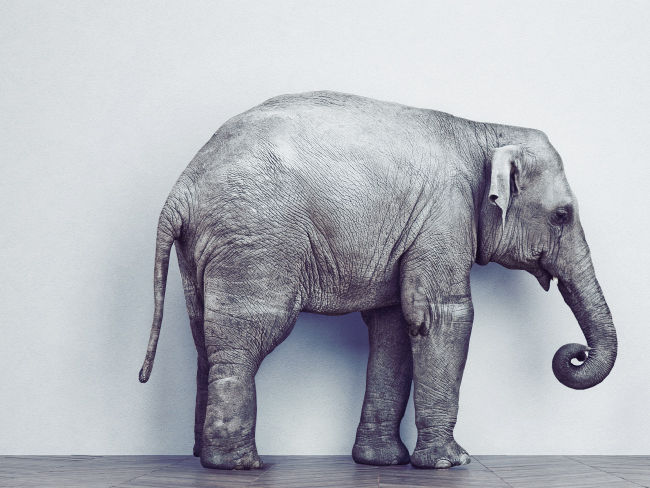 ใหญ่ ดี ราศีจับกับ JUMBO25 LTF”