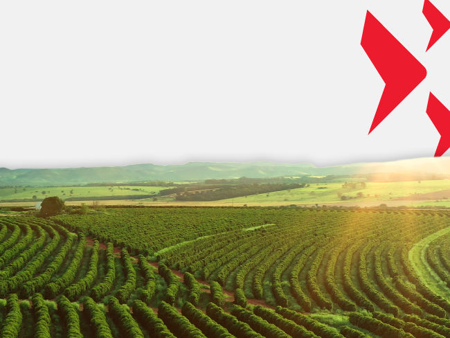 มุมมองการลงทุนรายสัปดาห์ ประจำวันที่ 7 – 10 พ.ค. 67