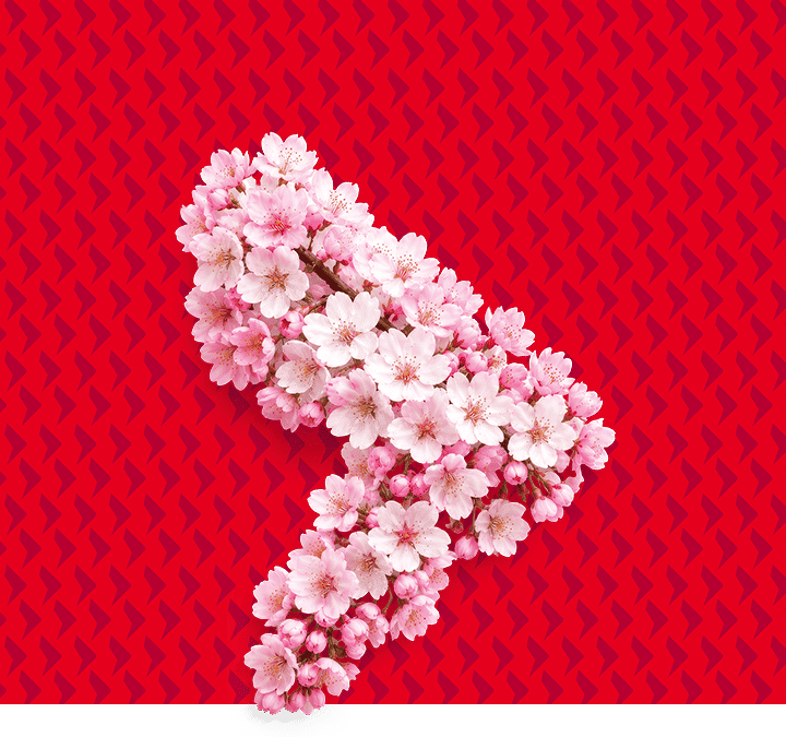 瀚亞投資－日本動力股票基金