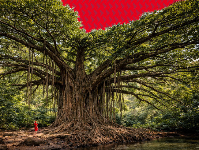 CS_3225-TL - Why Asia's dividend income opportunity is too big to ignore_Assets-2