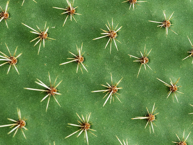 China A: Resilience in the eye of the storm