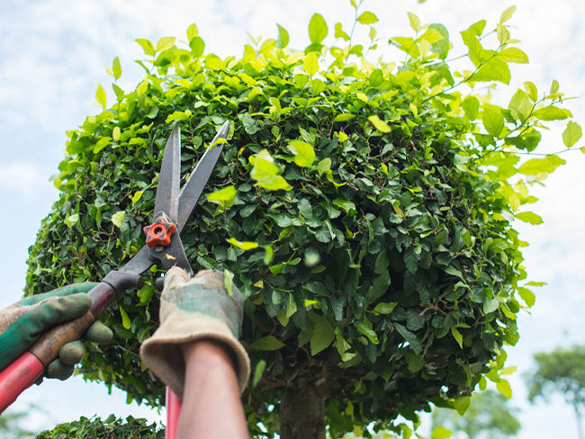 Understanding China’s approach to ESG