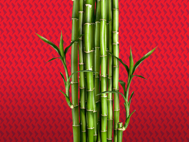 3 reasons to relook at bonds