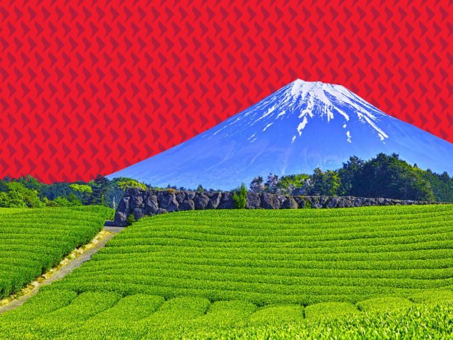 Six questions on Japan’s ESG progress