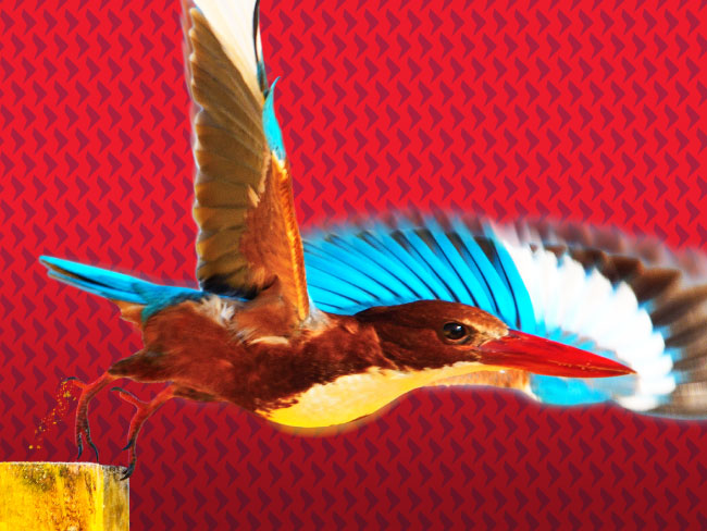 Why invest in Global Emerging Market equities now?