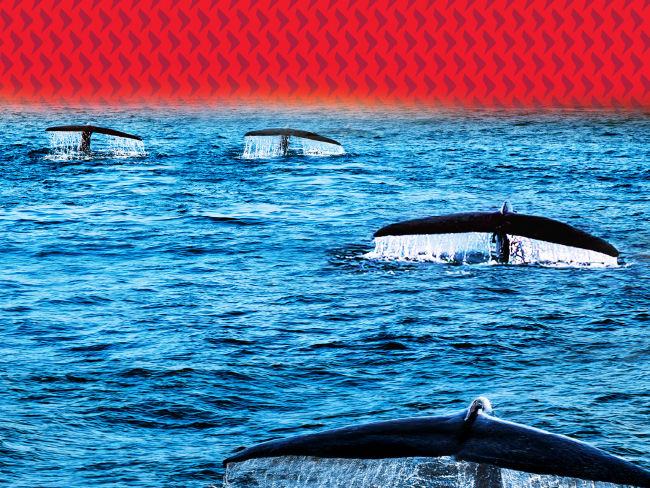 Deep seeking opportunities in Asia’s AI revolution