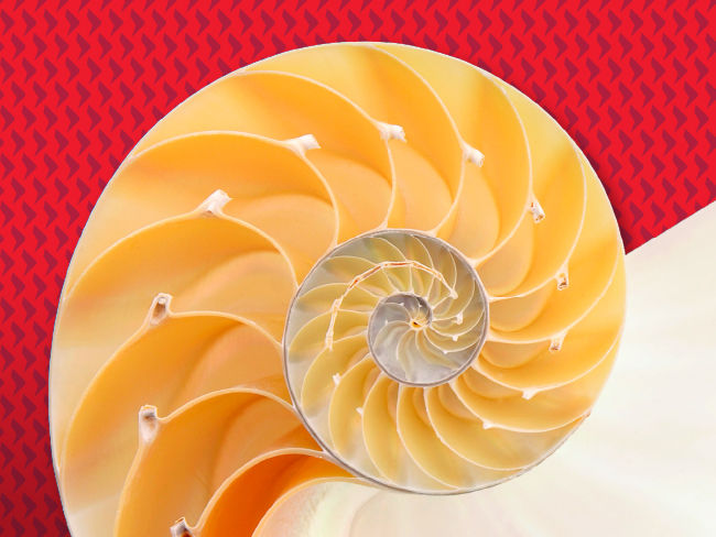 Enhancing capital efficiency with Matching Adjustment