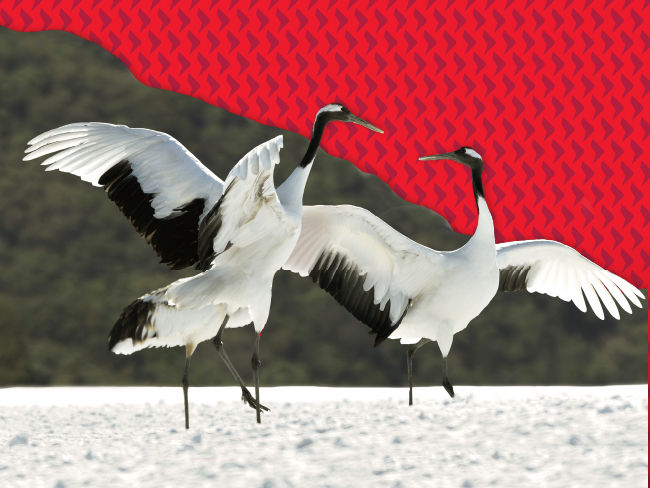 Japan – A structural alpha opportunity