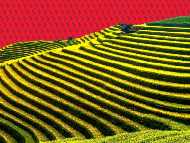 Asian fixed income: A carry and security selection story
