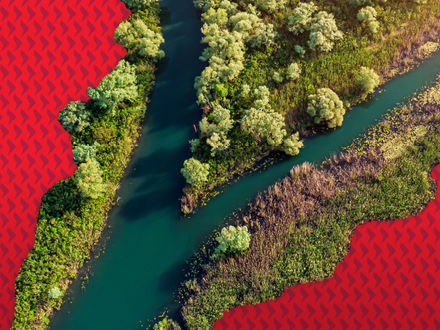 India and China: Are there opportunities amid the energy shock?