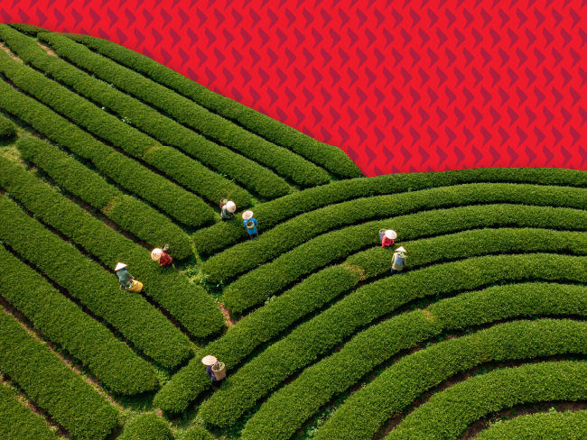 Asia dividend investing: Looking beyond today’s yield