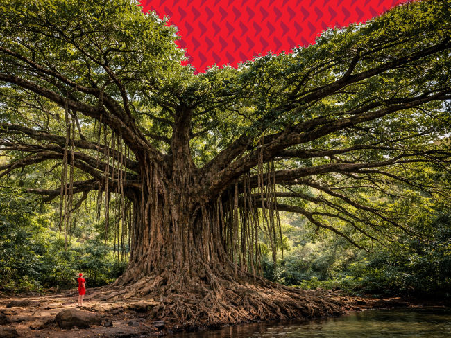 Why Asia’s dividend income opportunity is too big to ignore